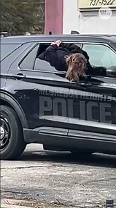 Police cruiser escape goes viral. See suspect wiggle out of cruiser window.