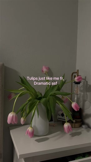 Tulips: The Most Adored Flower for Many