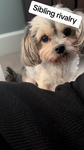 Rosie keeps her HBIC status