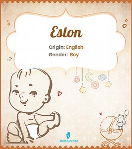 Eston Name Meaning, Origin, History, And Popularity