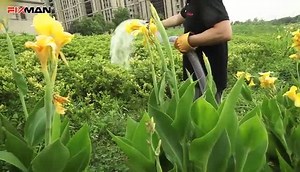 50 reactions | FIXMAN have best, durable and good quality of equipment for your construction and home use. Fixman build your world! Feel Free To Contact Us Via Website: www.fixmantool.com Email: fixman01@jjtools.com Whatsapp: +8613335746575. (Whatsap) #mechanicslife #handtools #toolset #powertool #handtoolswoodworking #powertoolsaccessories #stanleytools #fixmantools #generator | FIXMAN | Facebook