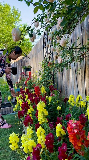 2025 spring garden 🪴 #คนอวดสวน #คนรักสวน #gardening #gardening #gardenlover #patio #plants #edenclimbing #organicgarden | คนอวดสวน in TX,USA.