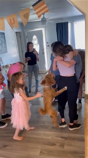 73K views · 3.5K reactions | Pure joy when these siblings are reunited ❤️梁 | Precious Moments | Facebook