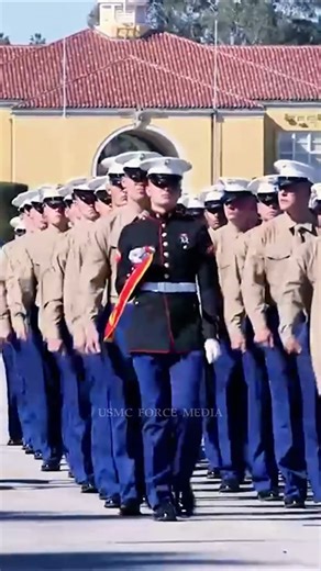 A Marine’s Journey: The Best Scenes from Graduation. #usmc #marines #marinecorps #usmarines #shorts