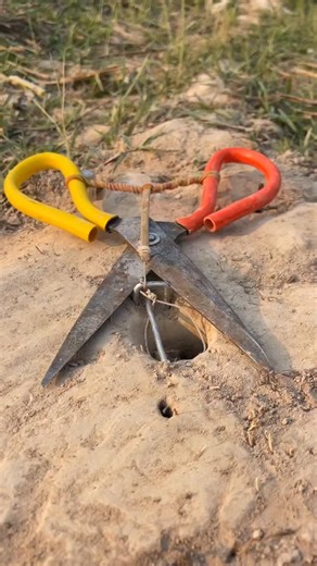 Abinalyemen Abinalyemen on Instagram: "Amazing DIY Easy Snake Trap using a rope with loop and scissors, stick, rubber bands. reel Got millions of viewers in others platforms . #traptools #trapslovers #SnakeTrap #DIYTrap #explore #SurvivalSkills #NatureHack #SnakeCatching #WildlifeHacks #HandmadeTools #SnakeHunting #LifeHacks #ViralReels #ExplorePage #ReelsViral #CreativeMinds #SmartTrap #TrendingNow #ViralVideo #SnakeControl #SnakeSafety #InstaReels #InnovativeIdeas #TrapBuild #SurvivalGear #Nat