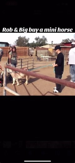 Rob & Big buy a mini horse. What’s your favorite line from this episode?#millennials #mtv #robnbig #nostalgia #2000s