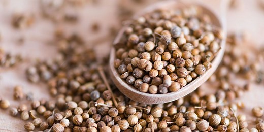 The 3 Best Substitutes for Coriander