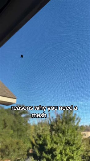 Reasons why you need a mesh net: to keep the bugs out!! #meshnet #mosquitonet #balconymakeover