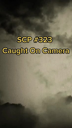 The Haunted on TikTok