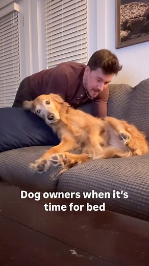 Chris & Nala on Instagram: "I don’t understand how they’re magically twice as heavy when it’s time for bed 🙄"