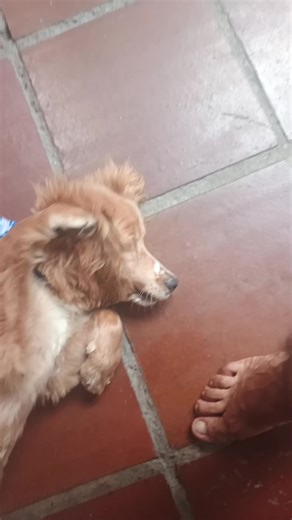 Videos de angel santafe🔥 (@angelsantafe2) con “sonido original - Terminator DJ”