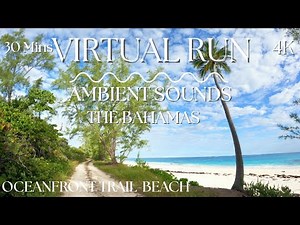 Virtual Run Bahamas | 30 Min Oceanfront Trail & Beach Treadmill Workout