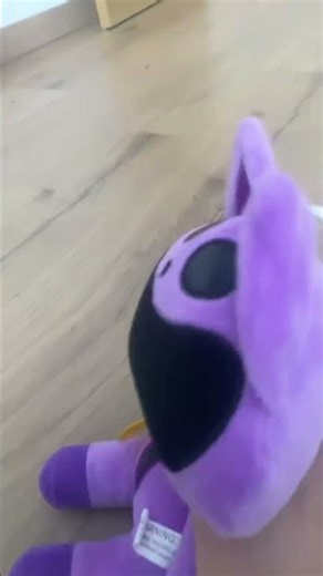 Cattnap #cat #funny #pokemon #kitten