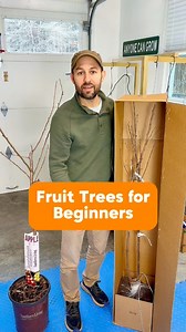 Fruit trees for beginners—let’s get back to basics! 🍏🌱Which type do you buy? And what’s been your experience? 👀Let’s break down potted vs. bare root fruit trees so you can pick the best one for your orchard! 👇✅ Potted Fruit Trees • Can be planted anytime of the year! ⏳ • More expensive to ship 📦💰 & heavier to move 💪 • Limited by pot size, which can restrict root growth 🪴 • Sometimes even root bound, leading to stunted growth 😬✅ Bare Root Fruit Trees (like these from @Four Winds Growers 