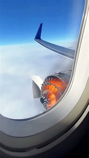 Jet Engine On Fire?! 😱 Internal Blades Visible — 30,000ft in Air! #ThrillingMoment #FlightFail