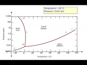 Homework help - Reading phase diagrams on WileyPLUS