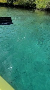 Located in Homosassa Florida, the Chassahowitzka River is made up of over a dozen springs, making it one of Florida's popular destinations for kayaking 🛶🐟💦 | La Guera