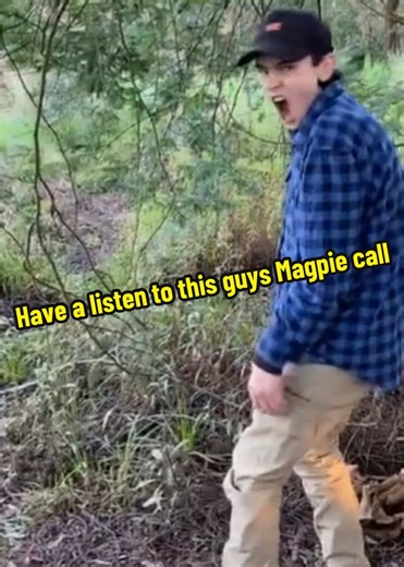 Magpie Call: A Ripper Impersonation for Mikey Musket