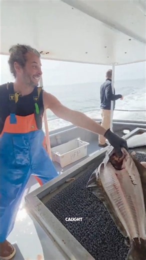 🔥 They Throw Away All This Fish Meat… But WHY? | Why Do Fishermen Throw Away Fish Heads?