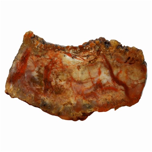Coprolite Slab - Creamy Pattern With Blood Red Streaks - Etsy Australia