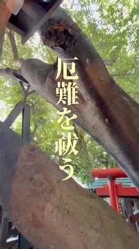 【祟りをも鎮める‼️】御神徳 合祀により御神威は無限大！？ 熊野道祖神社 #神社 ‪@開運方位ちょい吉‬