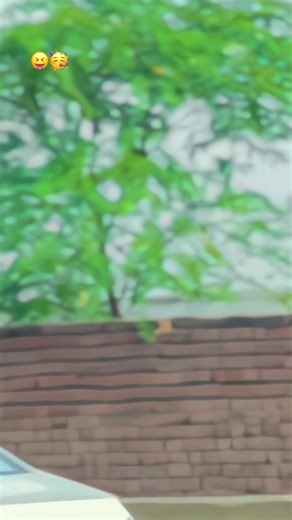 Talnt Pa Matlabii Wee - Moz Travel Level 18 Fun!