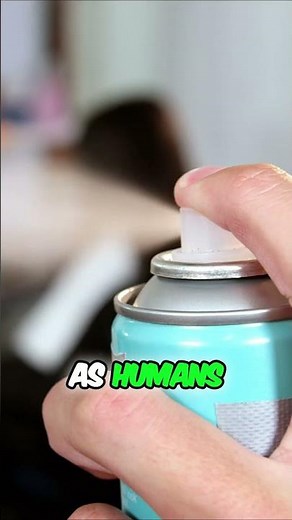 Volatile Organic Compounds Explained: The Hidden Home Hazard