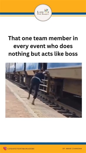 Event manager | Event life on Instagram: "Tag that person in the comment box or share this reel with them 🤣😂😎 #lifeofeventmanagers #lifeofweddingplanner #eventplanner #eventmemes #weddingplanner #weddingmemes #eventos #eventdesign #"