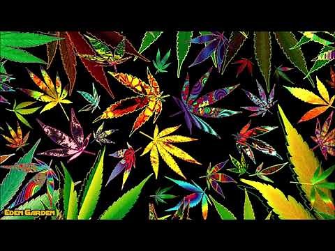 The Best Music To Listen To While High Smoking Weed