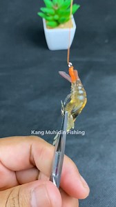 192K views · 875 reactions | How to set Fishing bait soft lure  #fishing #diy #tutorial #fbyシviral #mancing #fisherman #fypシ゚ #fyp #tutorial | Kang Muhidin Fishing | Facebook