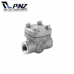 [Hot Item] Forged Steel Check Valve API 598 ASME B16.5 Certified for Preventing Backflow in Water and Chemical Systems