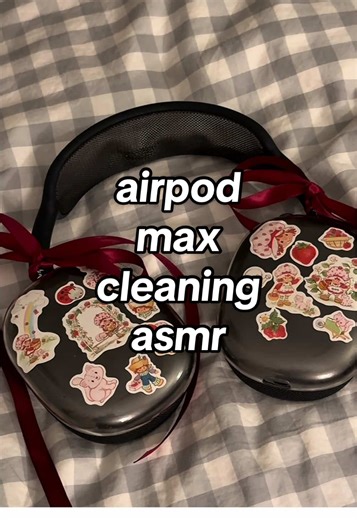 Should I Quit My Day Job? ASMR Cleaning Experience