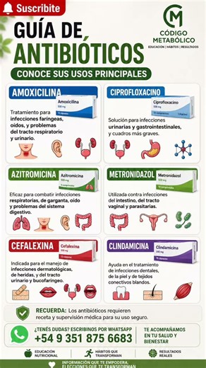 💊 Antibióticos: conocé para qué se usan y por qué nunca debés automedicarte