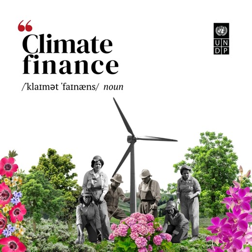 1.1K views · 33 reactions | C is for climate finance. Financial resources and instruments used to support action on climate change. Climate finance is critical to addressing climate change. Browse the #ClimateDictionary from United Nations Development Programme - UNDP: https://go.undp.org/opd | United Nations Department of Economic and Social Affairs (DESA) | Facebook