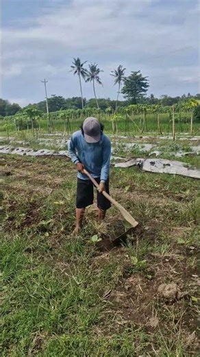 A simple tool for leveling soil texture -Agriculture farming #shorts