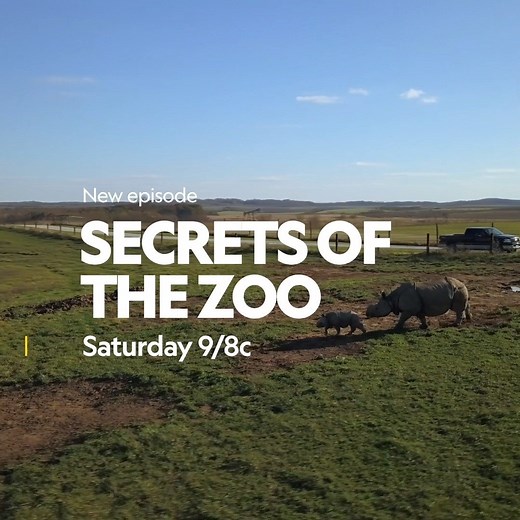 Can’t get enough behind the scenes adventures at the Columbus Zoo and Aquarium and The Wilds? Watch the next all-new episode of Secrets of the Zoo, airing tonight at 9/8c on Nat Geo Wild! | Columbus Zoo and Aquarium