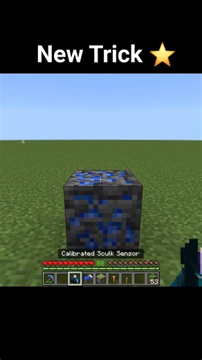 New Lapis Lazuli Trick in Minecraft