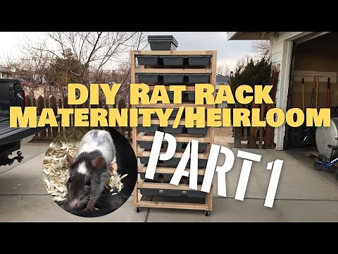 DIY Maternity Heirloom Rat Rack