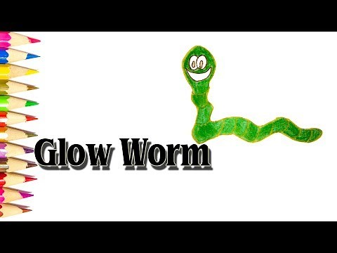How to Draw Glow Worm - Glow Worm Cartoon Drawing - SLD