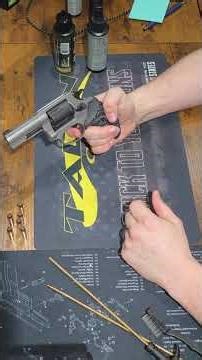 Taurus 856 38 special +p quick chat