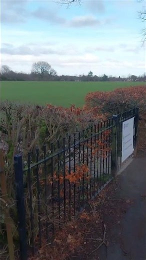 Rowheath Park Birmingham