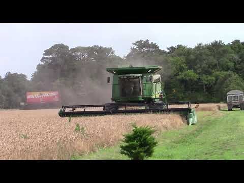 John Deere 9650 Sts Combine Harvesting Wheat