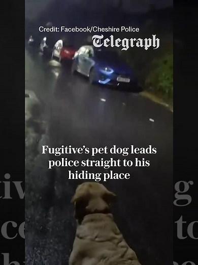 Fugitive’s dog leads police to his hiding place