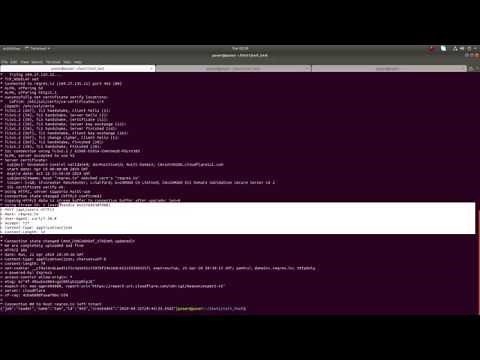 How to POST JSON data using CURL from a Terminal/Command line - 2019
