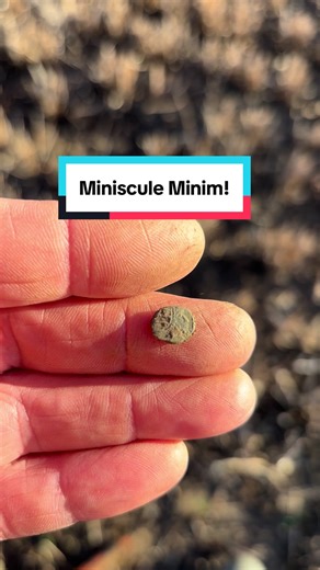 Exploring the Roman Minim: The Smallest Ancient Coin