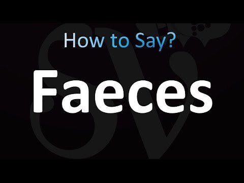 How to Pronounce Faeces (correctly!)