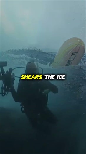 The Hidden Danger Of Ice Carousels