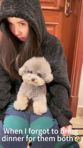 Funny face reactions #funny #trending #respect #memes