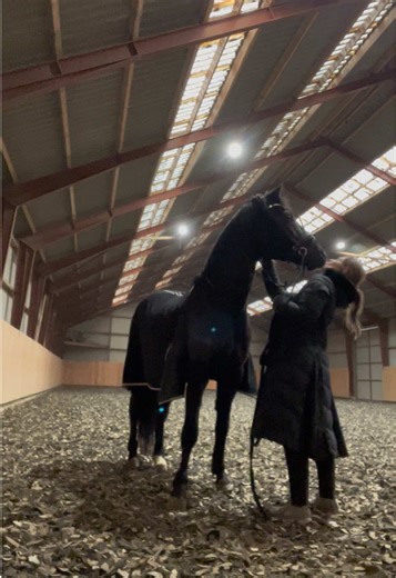Tag med på en typisk tur i stalden på en hverdag 🤩 #ridning #longering #bomarbejde #hest #dressur