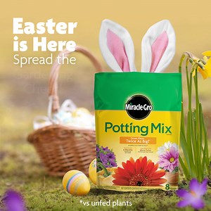 78 reactions | Happy Easter from Miracle-Gro! It’s the perfect opportunity to enjoy time with loved ones in the garden getting more blooms and more color.* | Miracle-Gro | Facebook